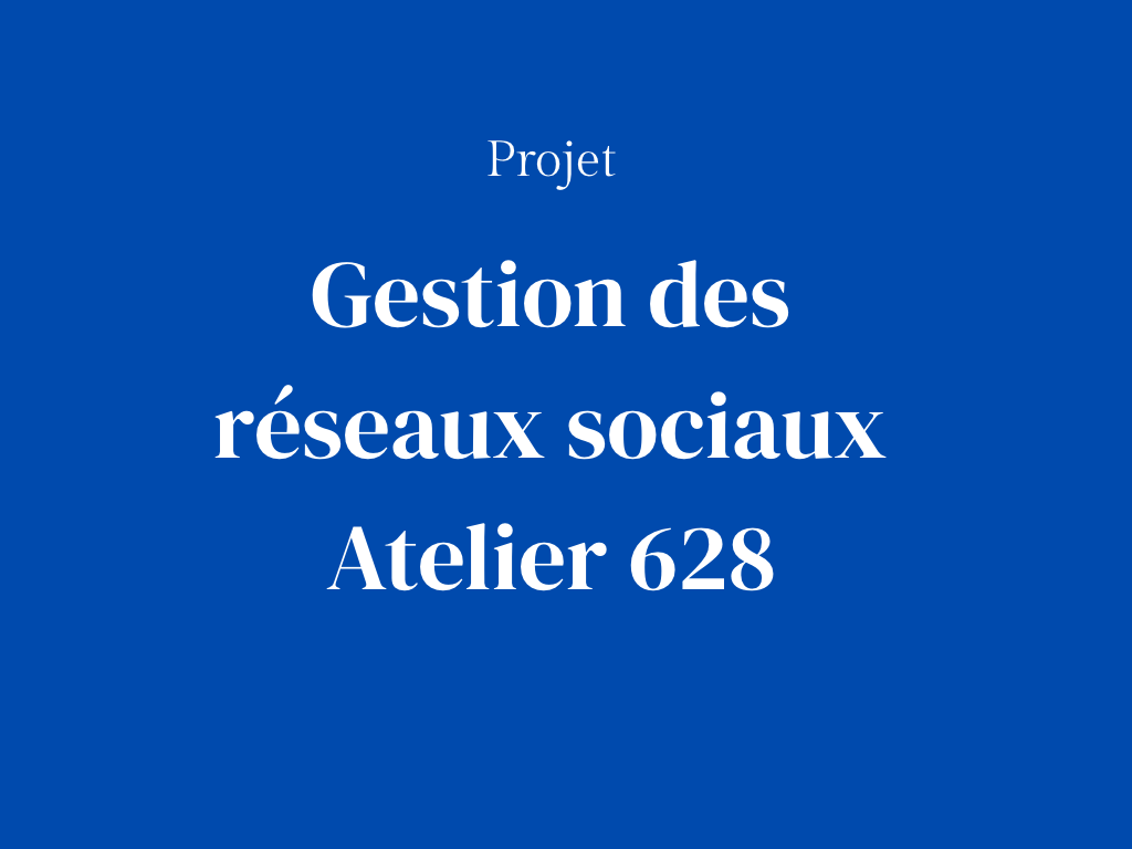 Atelier 628 gestion des réseaux sociaux